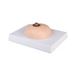 Breast cancer palpation model