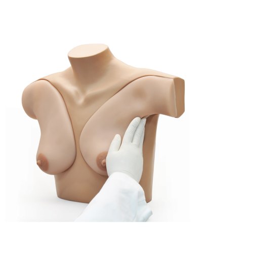 Breast Examination Trainer