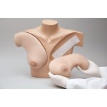 Brust Tastuntersuchungssimulator f&uuml;r klinische Ausbildung