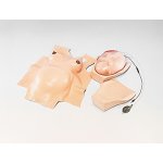 Obstetric Practice Doll