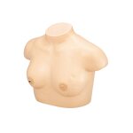 Inspection and Palpation of Breast Cancer Trainer (Precision Type)