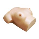 Breast care and massage model
