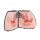 Weibliches Genitalorgan