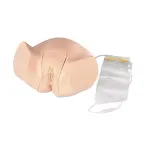 Female catheterisation model