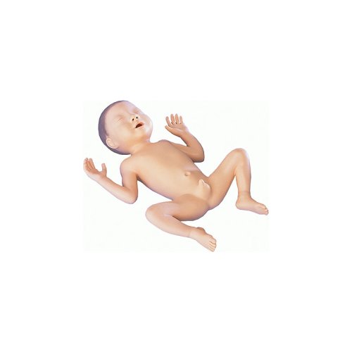 Frühgeborenen-Modell, 30 Wochen alt