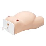 External Cephalic Version Model