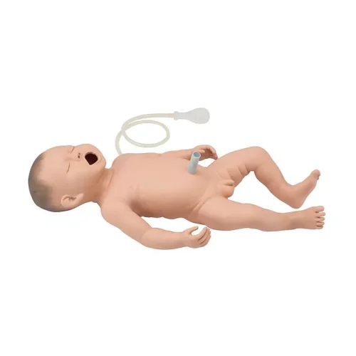 Neonatal Resuscitation Model