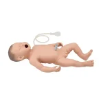 Neonatal Resuscitation Model