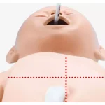 Neonatal Resuscitation Model