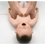 Neonatal Resuscitation Model