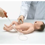 Neonatal Resuscitation Model