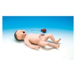 Neonatal Resuscitation Model