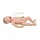 Neonatal Resuscitation Model