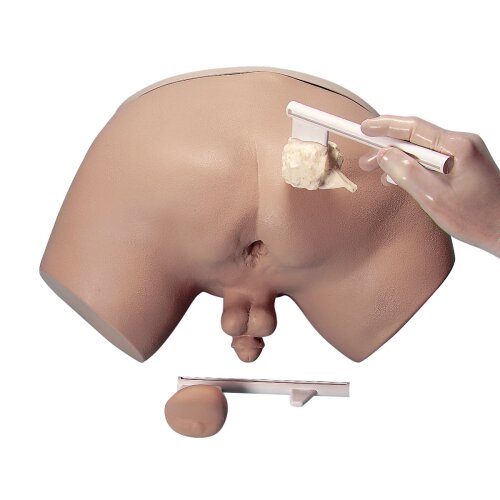 Prostatauntersuchungs-Simulator
