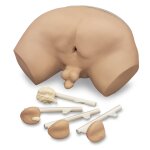 Prostate Examination Simulator