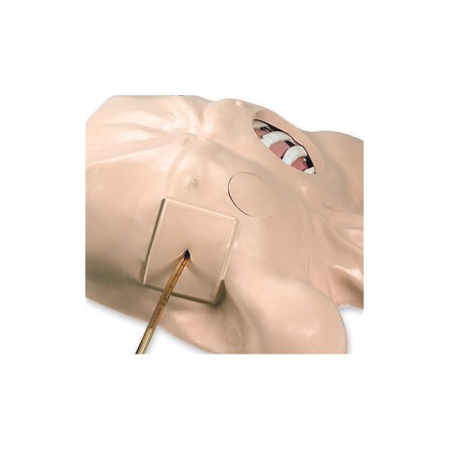 Thoraxdrainage-Simulator