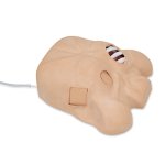 Thoraxdrainage-Simulator