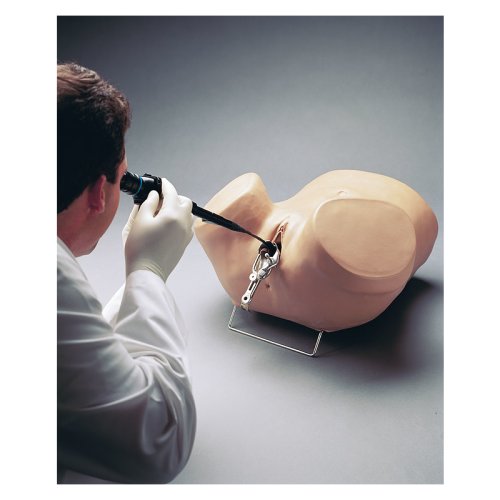 Hysteroskopie-Simulator