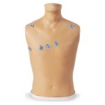 15-Lead ECG Placement Trainer