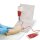 Portable IV Arm Trainer