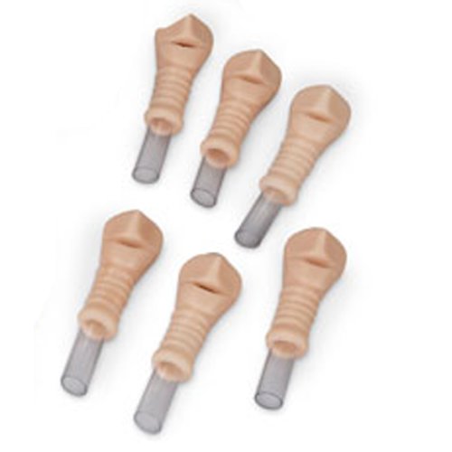 Replacement Trachea Set adult for GM11957