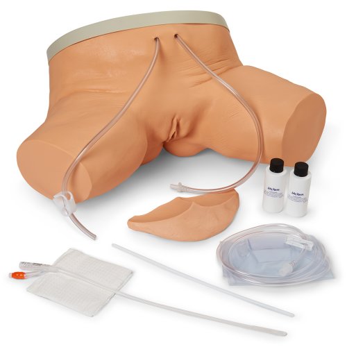 Female Catheterisation Simulator