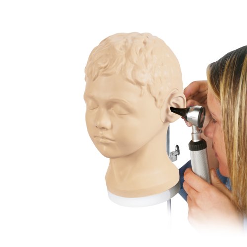 Diagnostic and procedural ear trainer