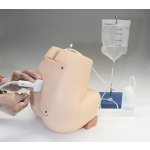 Ultraschallf&auml;higer Lumbalpunktions / Epiduralpunktions Simulator