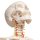 Skelett-Modell "Fred", flexibel - 3B Smart Anatomy