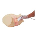 Ultraschall Hoden Phantom