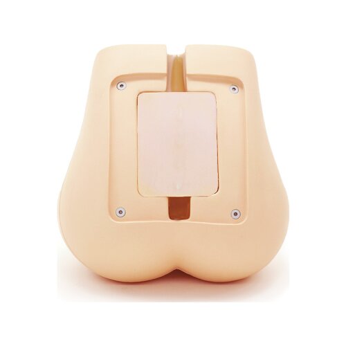 Lumbar Spine Fluoroscopy Training Phantom