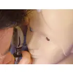 Eye examination trainer
