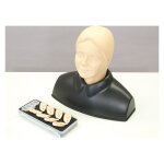 Ear examination Simulator