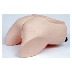 Prostate examination trainer