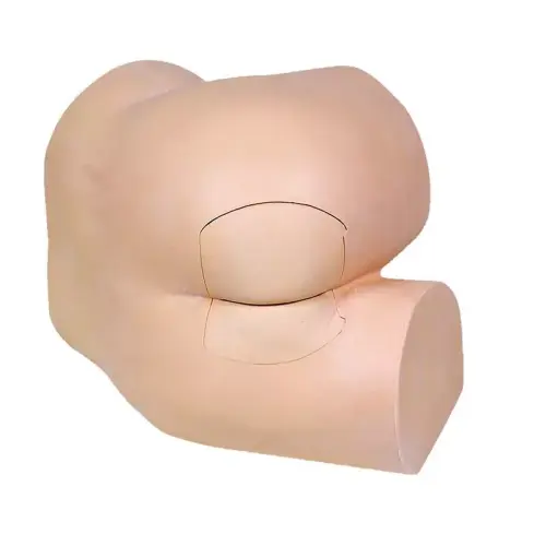 Rectal examination model