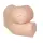 Rectal examination model