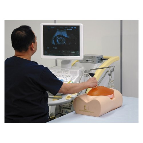 Fetus Ultrasound Examination Phantom