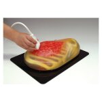 Breast Ultrasound Examination Phantom