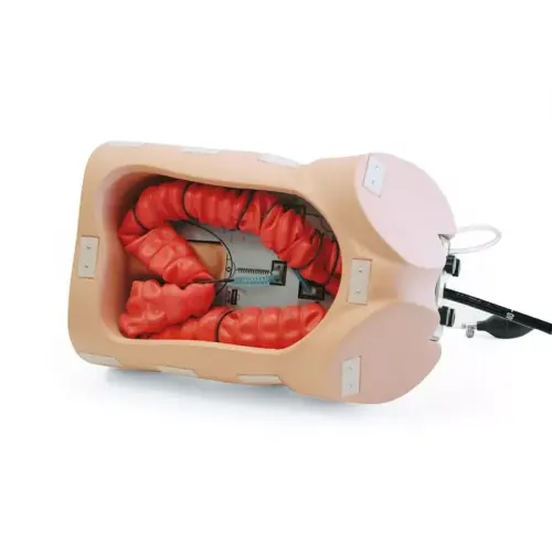 Colonoscope training model Kyoto Kagaku M40 11361-000 R16690