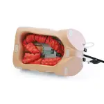 Colonoscope training model