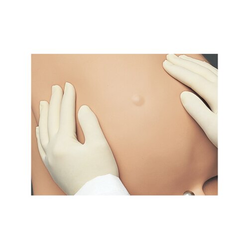 Palpation Module for Leopold Maneuvers for GM10686
