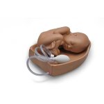 Palpation Module for Leopold Maneuvers for GM10686