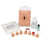 Trainer f&uuml;r Zervixuntersuchung und PAP-Test