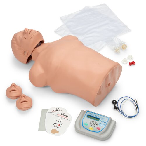 HLW Torso Brad mit AED-Trainer