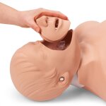 HLW Torso Brad mit AED-Trainer
