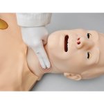 HAL Adult CPR+D Skills Trainer Torso