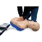 Prestan HLW-Torso mit Leuchtanzeige