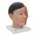 Head Model with Neck, Asian, 4 part - 3B Smart Anatomy