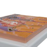 Skin Section Model, 70x magnified - 3B Smart Anatomy