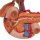 Hintere Oberbauchorgane-Modell - 3B Smart Anatomy